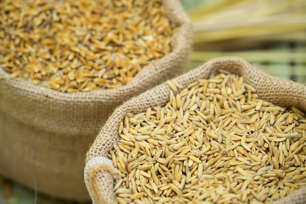 Quel type de sac à main est le plus pratique et élégant pour une journée de shopping?